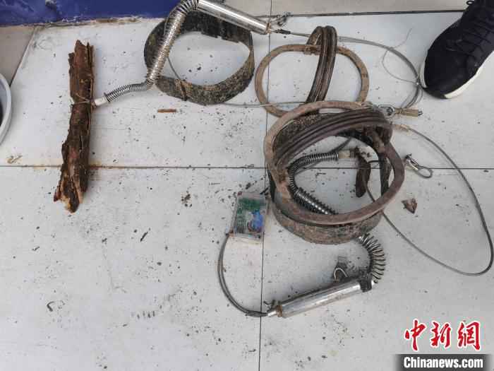 查获的作案工具。平阳公安供图  温州破获非法猎杀国家保护动物案 查获动物尸体61份