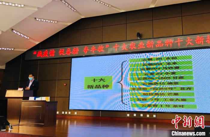 图为推介会现场。 缪超 摄  云南省农科院推出十大农业新品种 科技助力春耕生产