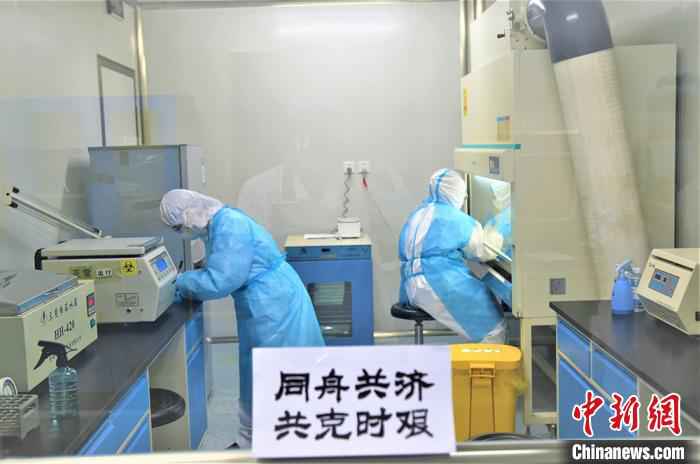 分工合作,共抗疫情。 杜炳勋 摄 探访新疆兵团“核酸检测人员”:离病毒最近 如“雷区”排雷